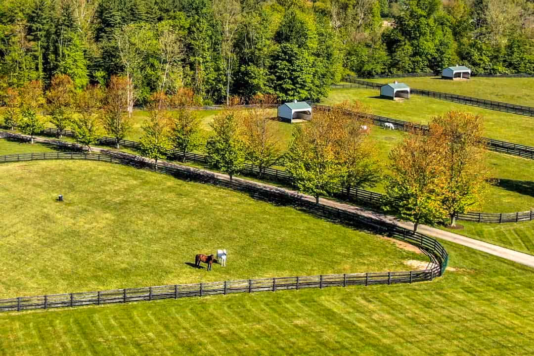Aerial photo of pasture at Still Water Farm